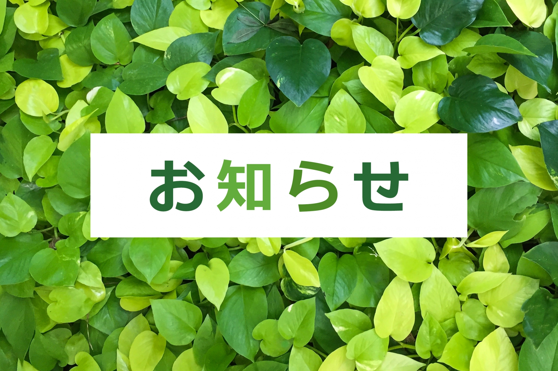 健康優良企業「銀の認定」を取得いたしました。