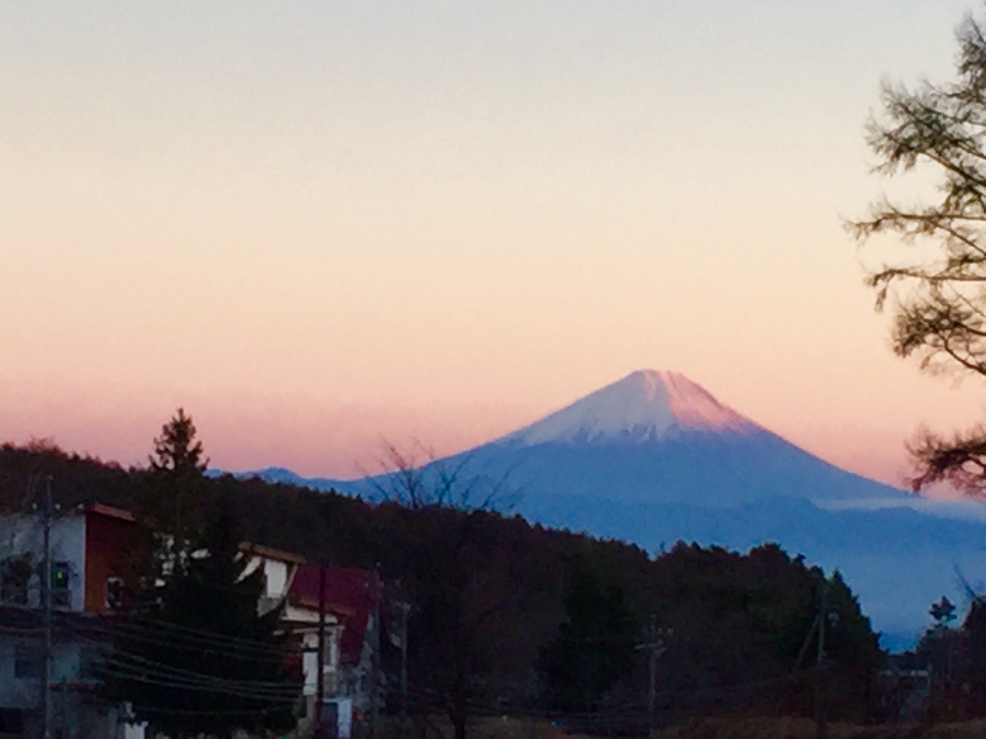 新年を迎えて